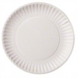 Sunset Uncoated Economy 9" Paper Plates- 100 Count