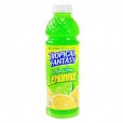 Tropical Fantasy Mean Green Lemonade - 22.5oz