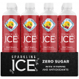 Sparkling ICE Fruit Punch  - 12 Count (17oz)