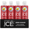 Sparkling ICE Fruit Punch  - 12 Count (17oz)