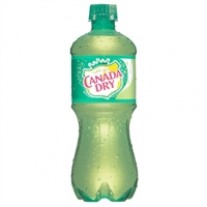Canada Dry Ginger Ale - 20oz