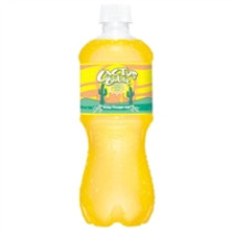 Cactus Cooler - 20oz