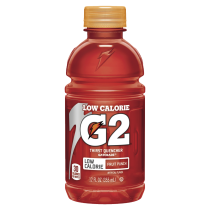 Gatorade G2 Fruit Punch - 12oz